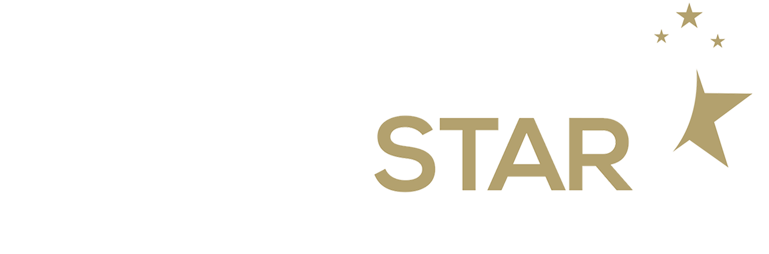 Southstar Education and Training logo